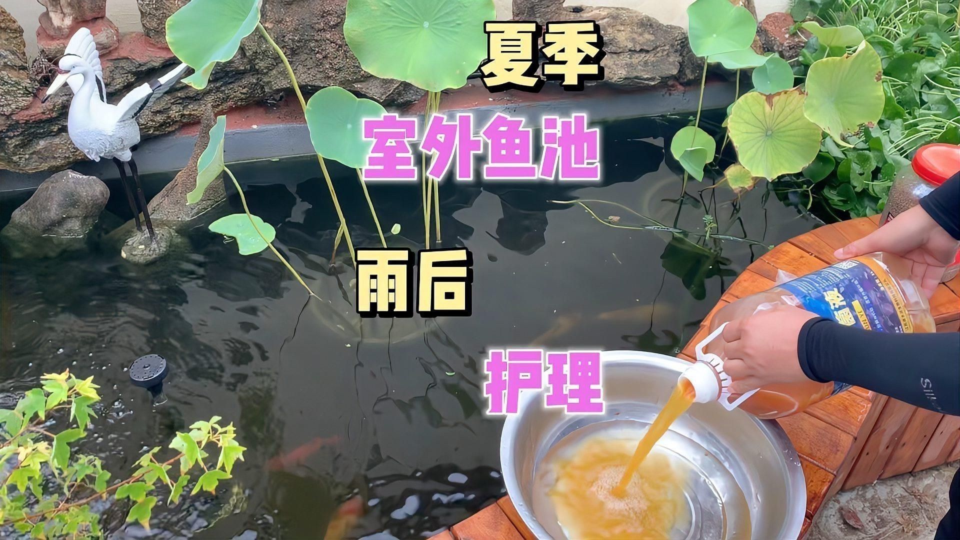 露天魚池水渾濁怎么變清