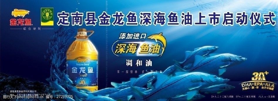 2024年金龍魚廣告視頻播放（金龍魚廣告-廣告-高清完整正版視頻在線觀看優酷） 2024年金龍魚廣告視頻播放（金龍魚廣告-廣告-高清完整正版視頻在線觀看優酷） 龍魚百科 第2張