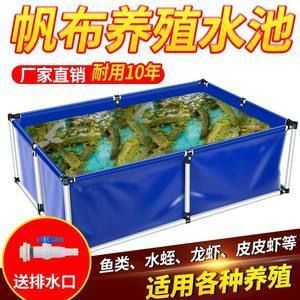 大型龍魚池：大型龍魚池的設計與建造需要綜合考慮多個方面