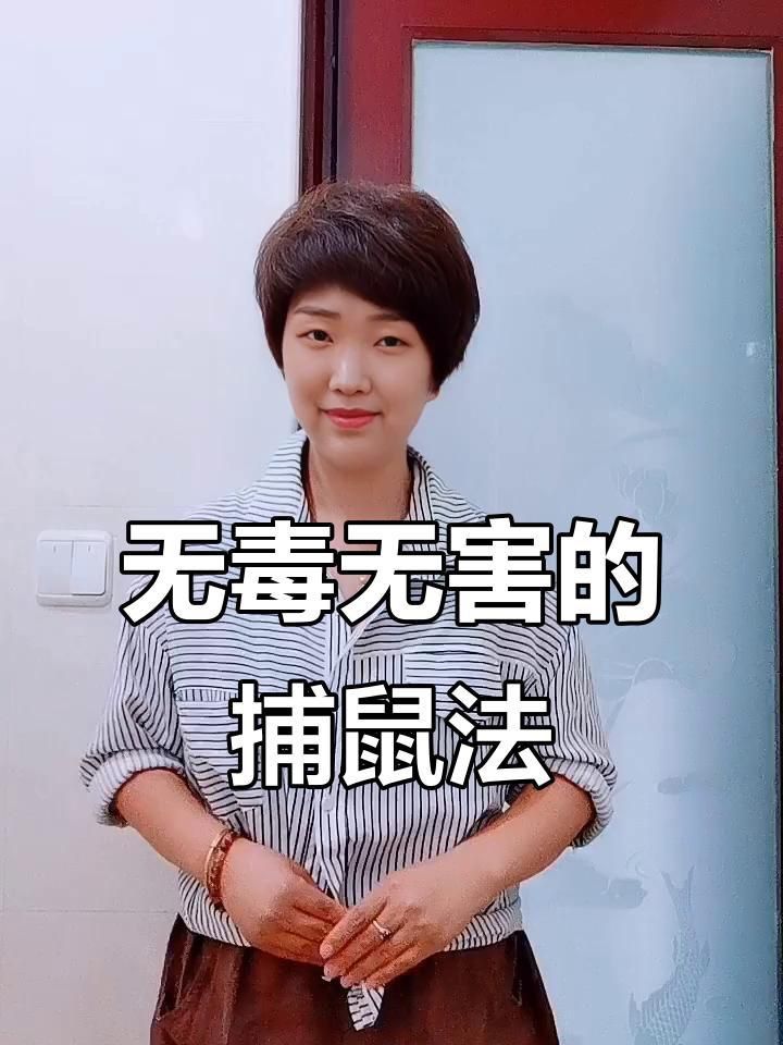老鼠怎么徹底消滅最簡單方法