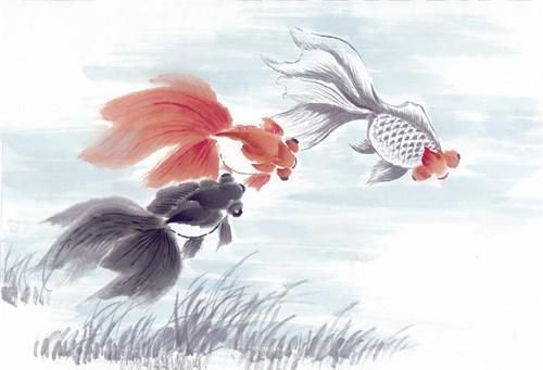 觀賞魚殺蟲藥副作用：觀賞魚殺蟲藥的副作用