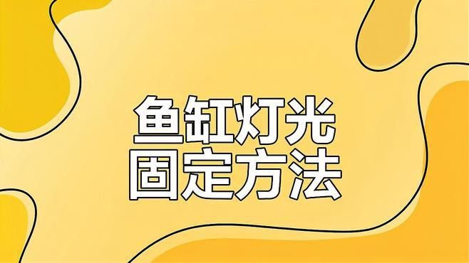 過背金龍魚缸照明燈應該放在什么位置