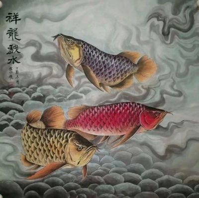 龍魚戲水什么意思（“龍魚戲水”什么意思）