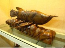 龍魚戲水什么意思（“龍魚戲水”什么意思）