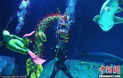 龍魚戲水什么意思（“龍魚戲水”什么意思）