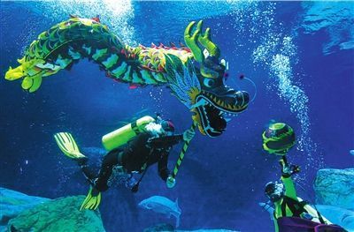 龍魚戲水什么意思（“龍魚戲水”什么意思）