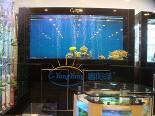 知名龍魚品牌排行榜前十名是哪幾個?:2024年龍利魚十大品牌排行榜-龍利魚哪個牌子好 龍魚百科 第2張 知名龍魚品牌排行榜前十名是哪幾個?:2024年龍利魚十大品牌排行榜-龍利魚哪個牌子好 知名龍魚品牌排行榜前十名是哪幾個?:2024年龍利魚十大品牌排行榜-龍利魚哪個牌子好 龍魚百科 第2張