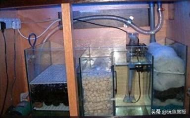魚缸水換新的還渾濁（如何快速恢復魚缸硝化系統魚缸水渾濁的自然解決方法魚缸過濾系統維護技巧減少魚缸污染的有效措施）