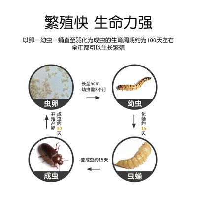如何判斷龍魚飼料新鮮度：判斷龍魚飼料新鮮度的幾種方法