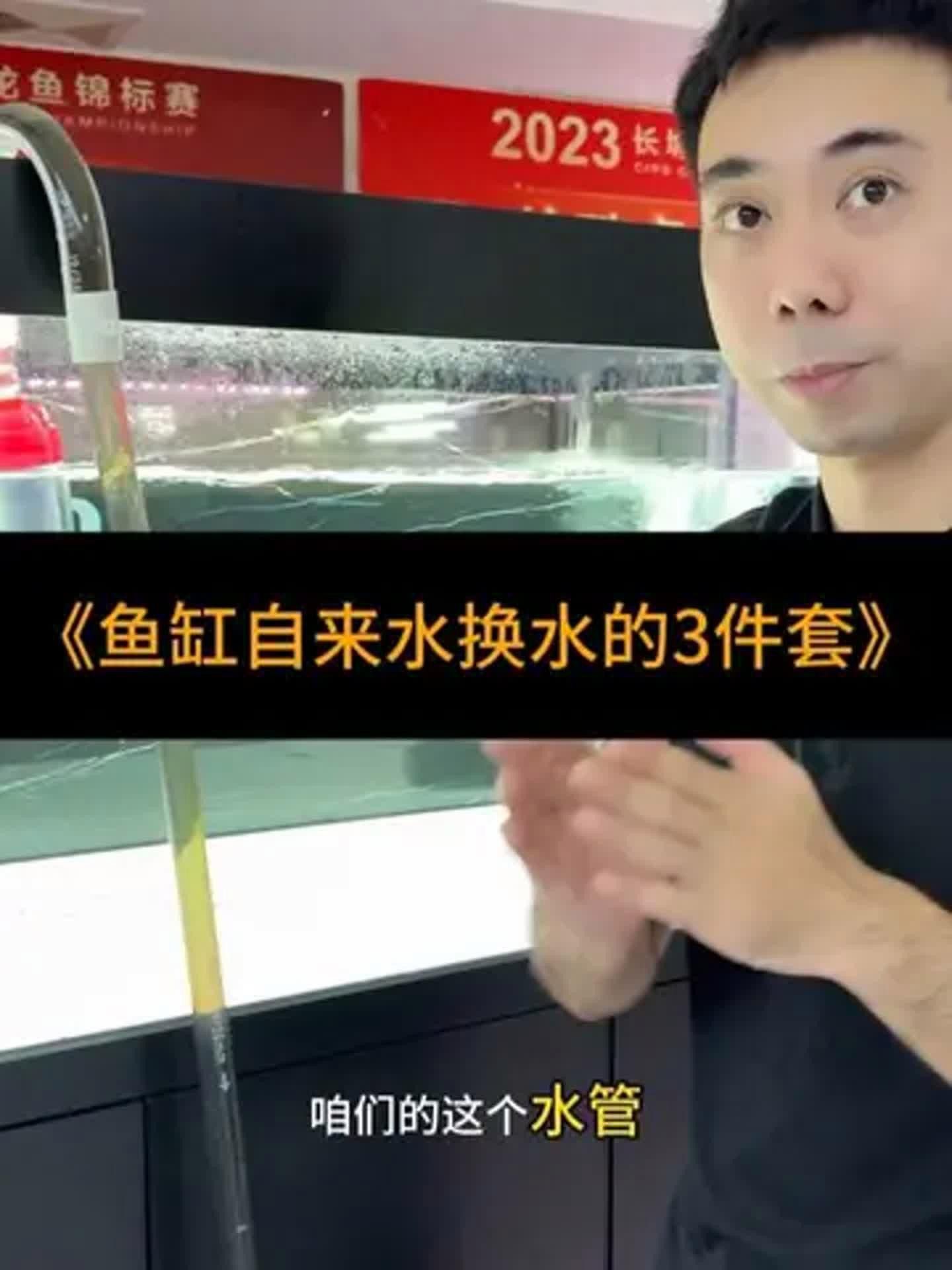 如何給龍魚換水