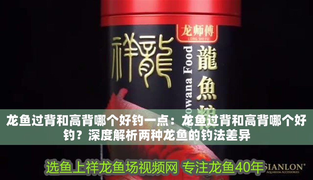 龍魚過背和高背哪個好釣一點：龍魚過背和高背哪個好釣？深度解析兩種龍魚的釣法差異