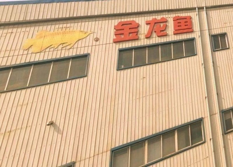 河北金龍魚總部在哪里