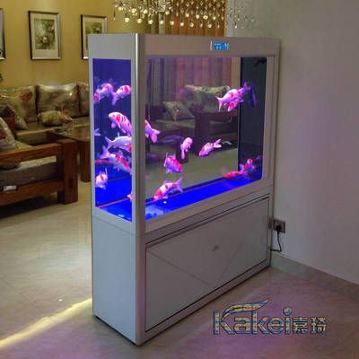 龍魚黑缸和白缸的區別是什么:龍魚在黑缸和白缸中的飼養區別 龍魚百科 第2張 龍魚黑缸和白缸的區別是什么:龍魚在黑缸和白缸中的飼養區別 龍魚黑缸和白缸的區別是什么:龍魚在黑缸和白缸中的飼養區別 龍魚百科 第2張