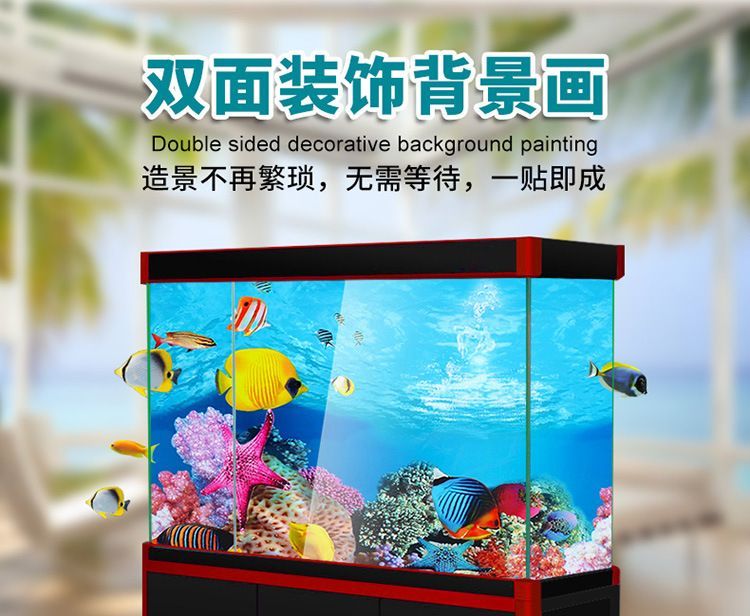 藍色過背金龍魚怎么養：藍色過背金龍魚養殖技術藍色過背金龍魚的飼養注意事項