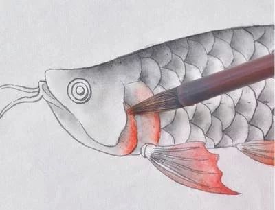 龍魚的畫怎樣畫簡單：幾種簡單的龍魚畫法教程