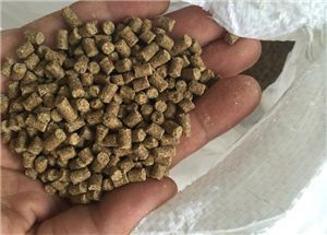 性價比高的龍魚缸有哪些：性價比較高的龍魚缸品牌