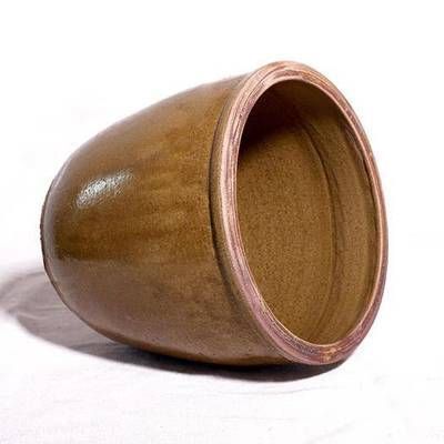 龍魚腰變形了怎么辦（龍魚腰變形了怎么辦，）