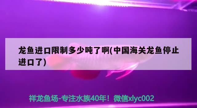 龍魚禁止進口了嗎最近：cites認證龍魚養殖場名單,如何辨別龍魚走私行為