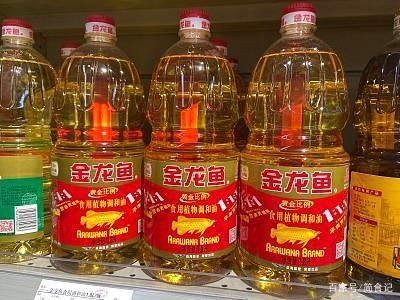 金龍魚吃多了怎么處理：金魚吃多了怎么辦