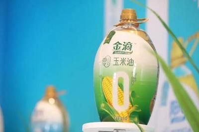 金龍魚吃多了怎么處理：金魚吃多了怎么辦
