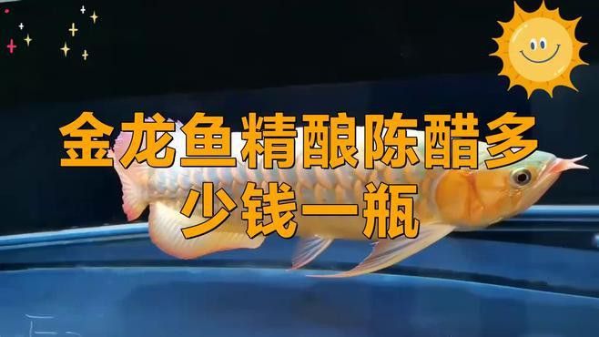 金龍魚醋品牌是什么