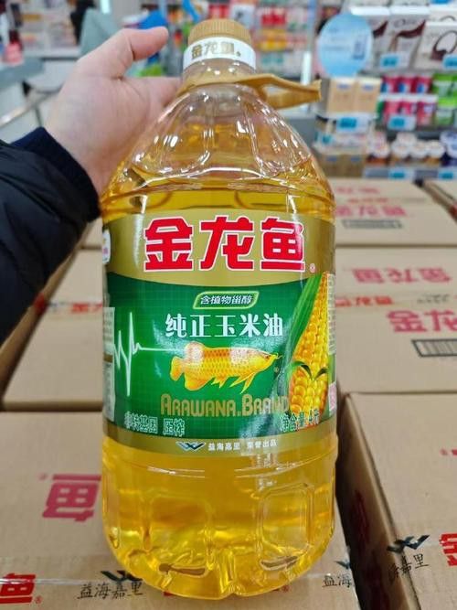 極品金龍魚(yú)什么價(jià)格