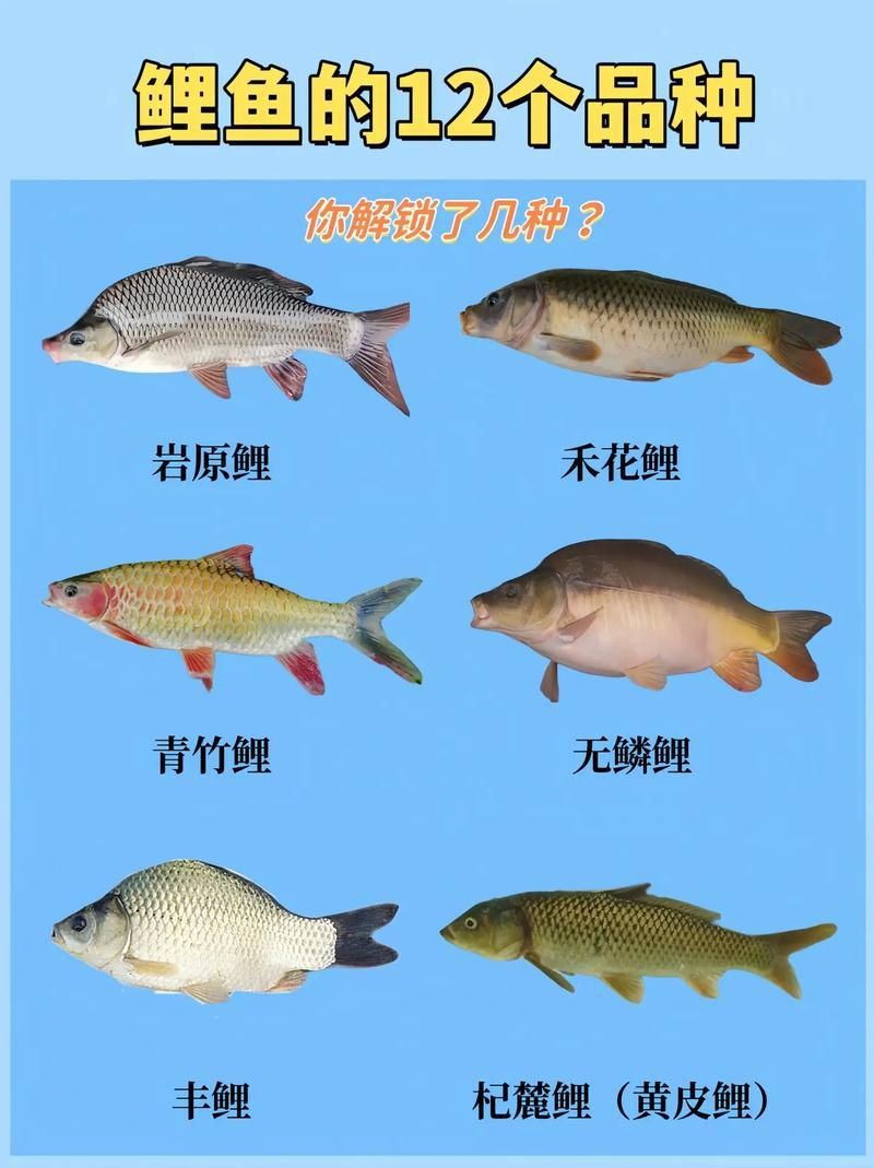 馬印牌水族燈