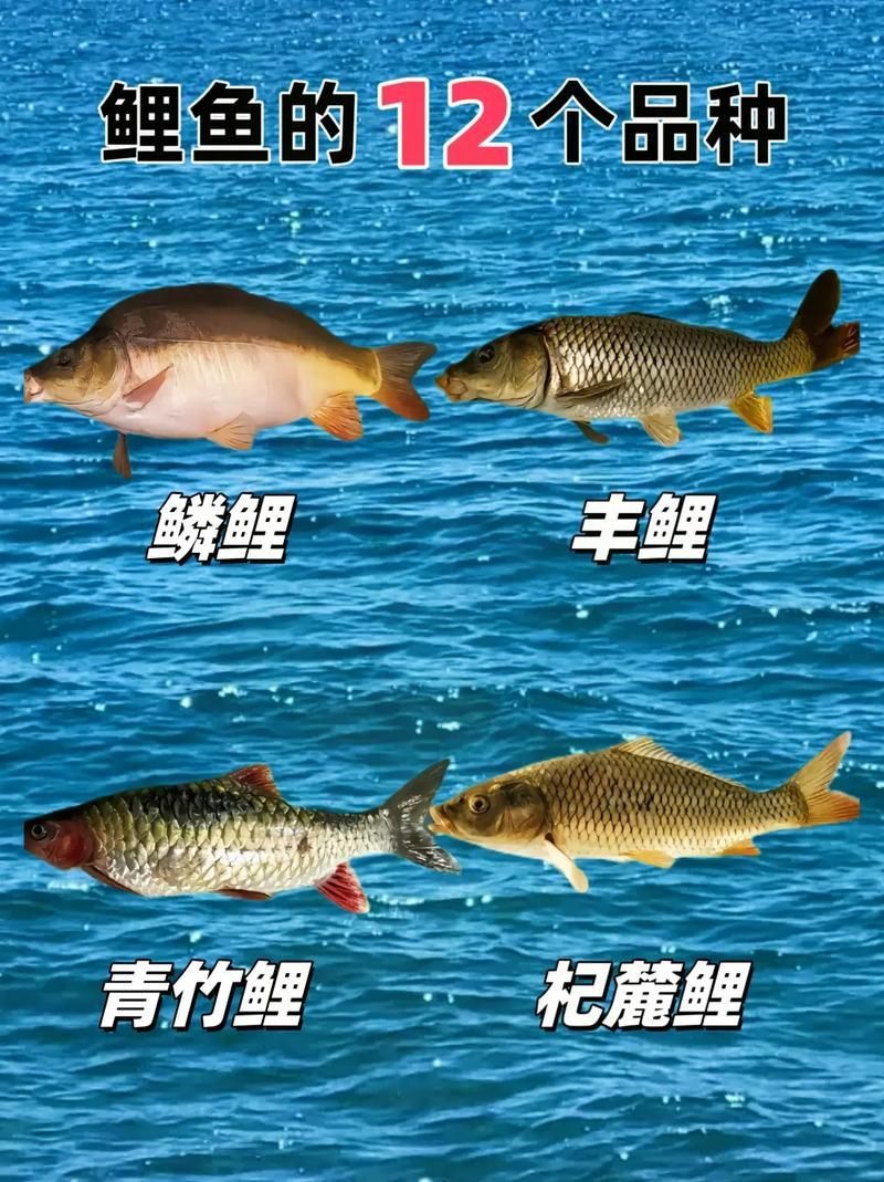 馬印牌水族燈