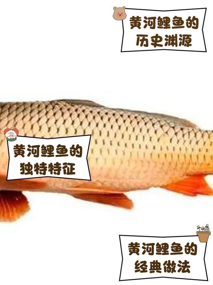 馬印牌水族燈