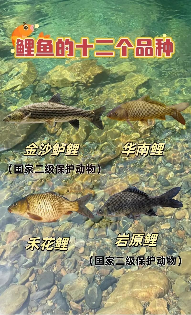 馬印牌水族燈