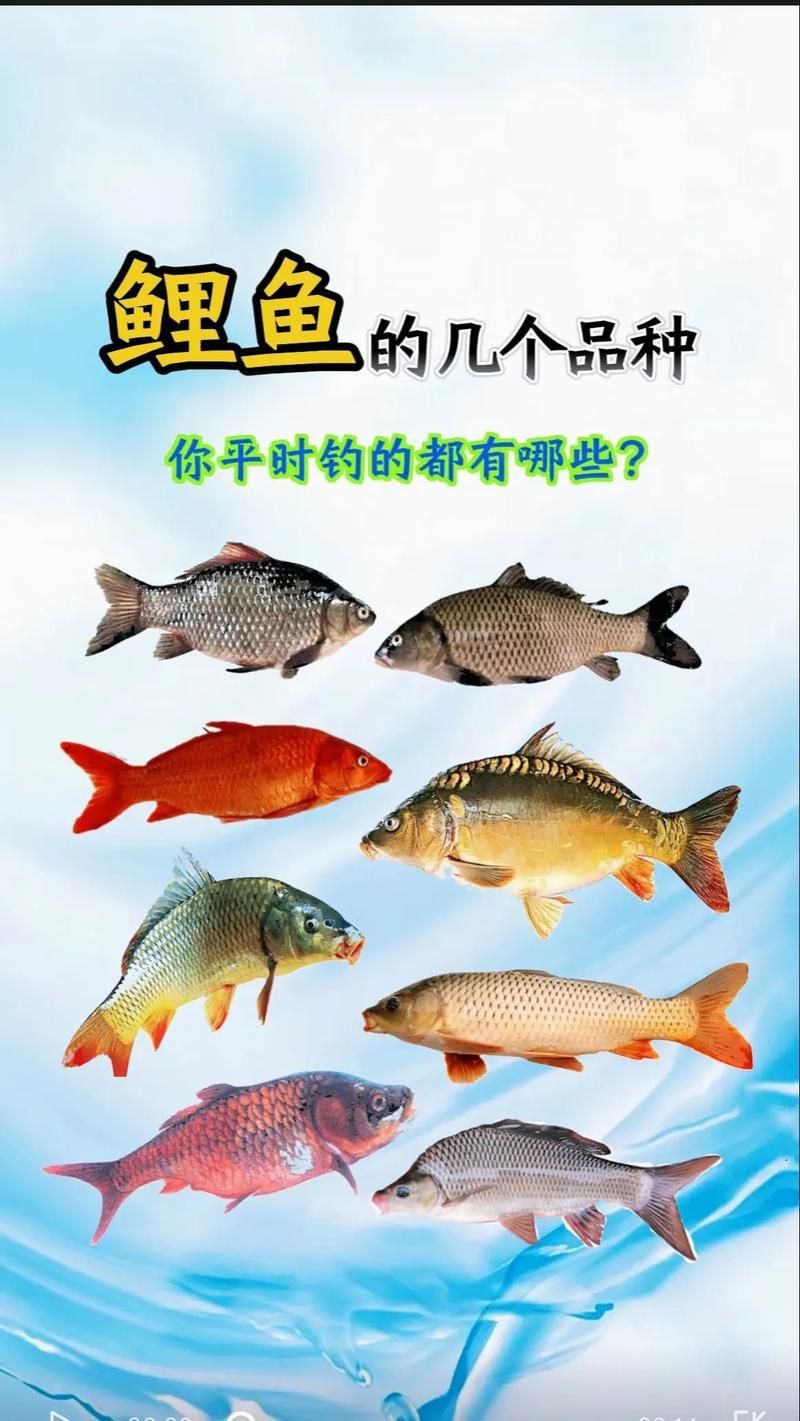 馬印牌水族燈