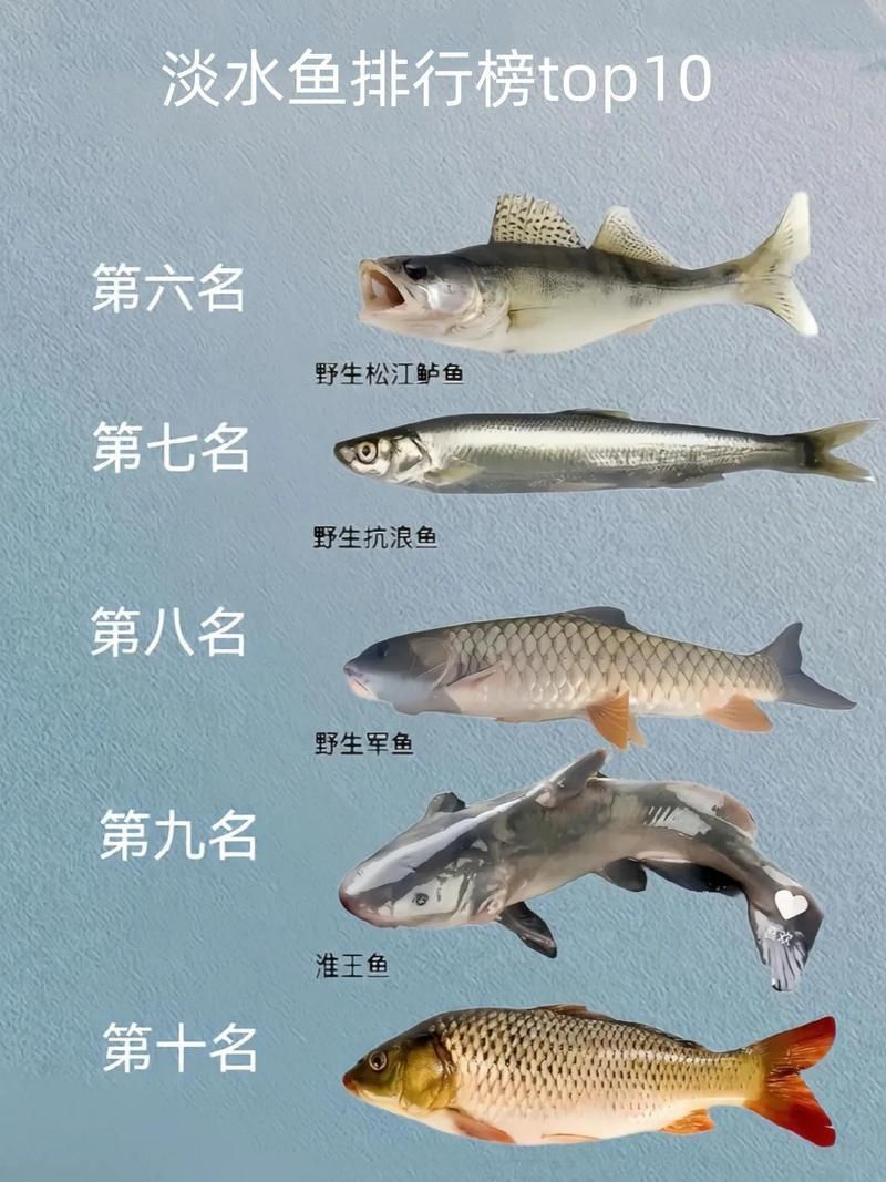 馬印牌水族燈