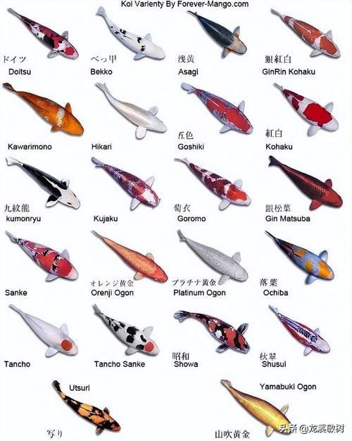 馬印牌水族燈