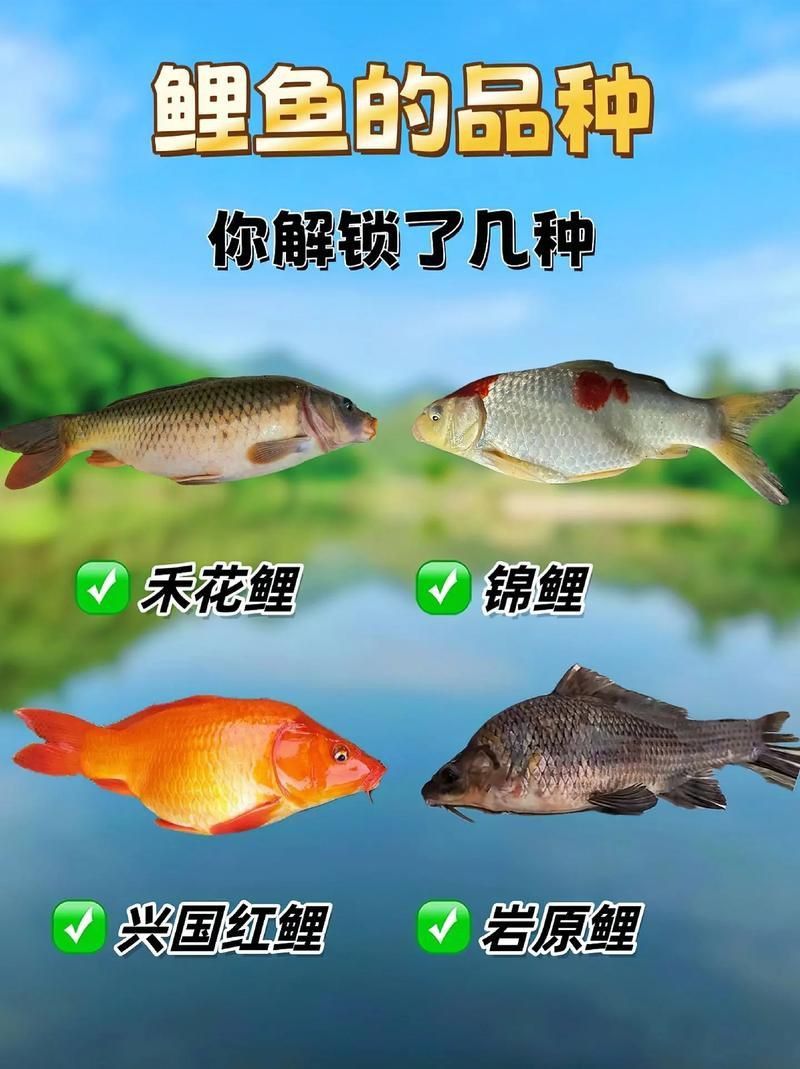 馬印牌水族燈