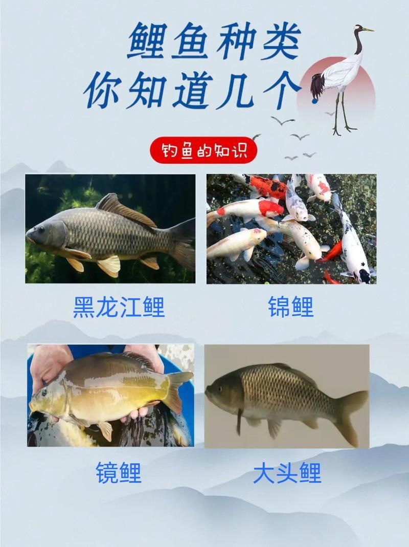 馬印牌水族燈