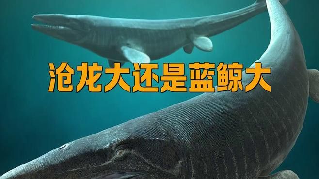 藍鯨和滄龍誰更強大？
