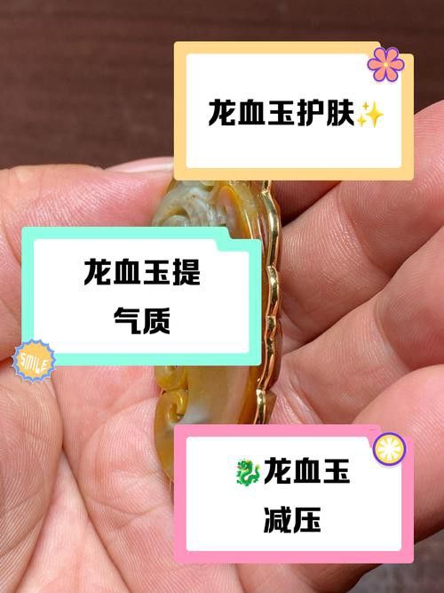 收藏赤血金龍有哪些注意事項？