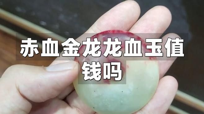 收藏赤血金龍有哪些注意事項？