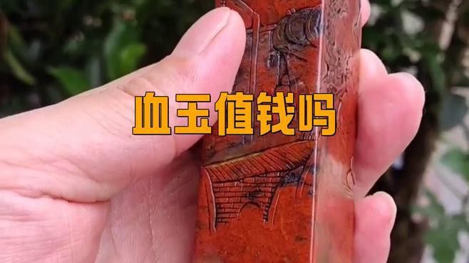 收藏赤血金龍有哪些注意事項？