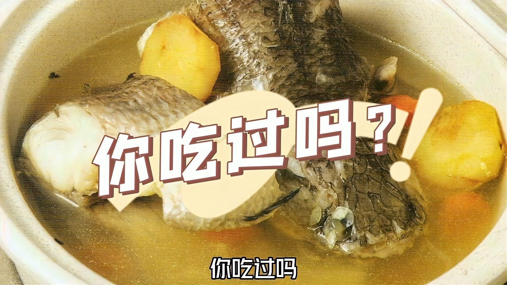 雷龍魚種類大全
