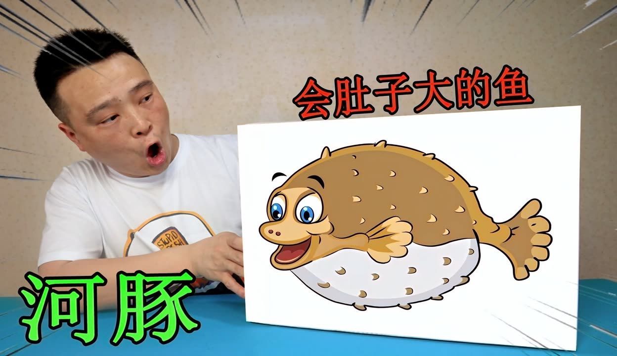 別小齊開箱六角恐龍魚：六角恐龍魚的飼養方式