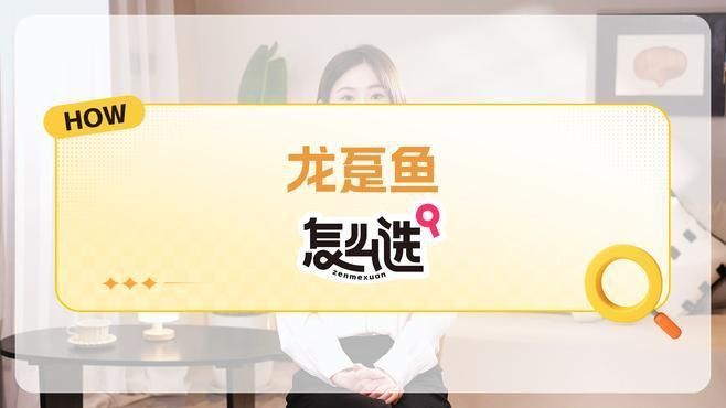 龍躉魚是什么魚？