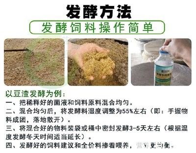 龍魚虎魚混養(yǎng)小時候喂什么好