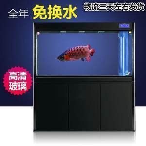 龍魚趴缸底是怎么回事：關于龍魚趴缸底的詳細解釋和解決方法