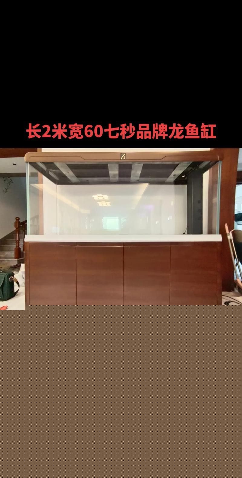龍魚品牌名