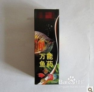 龍魚只喂飼料能長大嗎：探討龍魚單一飼料喂養對成長的影響