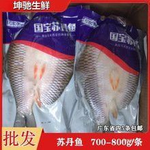 馬來西亞忘不了魚價格表