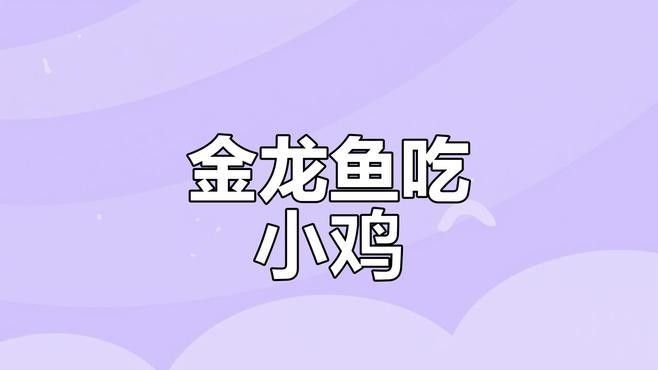 馬來西亞紅龍魚為什么便宜呢