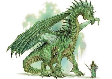 十二種顏色的龍族排名