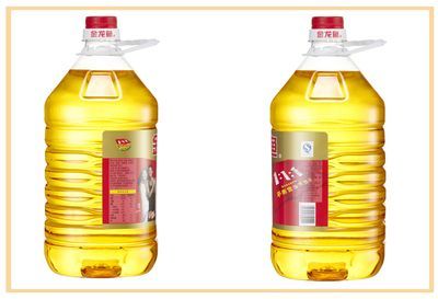 黑底養(yǎng)的金龍魚能長多大：黑底養(yǎng)殖的金龍魚能長多大